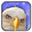 icon Eagle Live Wallpaper 7.1