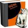 icon Odia Dictionary Pro