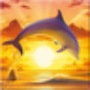 icon Dolphin Wallpaper 3D