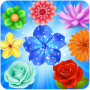 icon Blossom Splash Mania