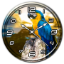 icon Parrot Clock Live Wallpaper