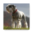 icon Miniature schnauzer Wallpapers 5.1