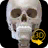 icon Skelett 2.4.1