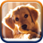 icon Cute Puppies Live Wallpaper 1.4