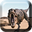 icon Dinosaurus Live Wallpaper 1.14