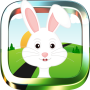 icon Bunny RunRunner Game