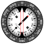 icon Compass PRO para swipe Elite Plus