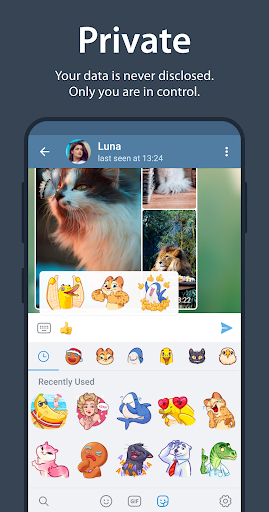 Criador de Fotos de Perfil, Tradução de Chats Inteiros, Categorias de Emoji  e Mais