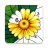 icon Color Oasis 1.2.6