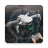 icon GoFlyD.J.IDrone 16.0