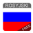 icon Rosyjski 9.0.10