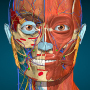 icon Anatomy Learning - 3D Anatomy para Huawei P20 Pro