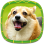 icon Dog Wallpapers