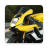 icon HD Motorcycle Sounds 3.1
