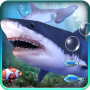 icon Shark Aquarium