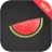 icon Melon VPN 8.1.206