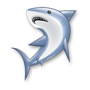 icon Shark
