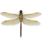 icon Dragonfly 1.28