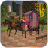 icon Horse Carriage Transport Drive 1.0