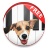 icon DogPiano 1.2.1