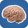 icon MemoryTest