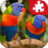 icon Rainforest Animals 1.1