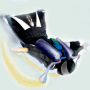 icon WingsuitSimulator