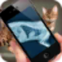 icon Simulation XRay Cat para karbonn K9 Smart Selfie