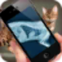 icon Simulation XRay Cat para blackberry Motion