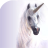 icon Unicorn Wallpaper 2.6