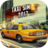 icon Taxi Sim 2017 1.1