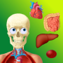 icon appinventor.ai_franc_gemelli.anatomypuzzle