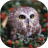 icon Owls live wallpaper 3.1