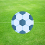 icon Soccer Puzzles