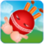 icon Crazy Cricket