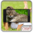 icon Face Scanner: Cats 1.0.9