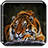 icon Tiger Live Wallpaper 1.9