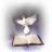 icon Palabra 4.5.1