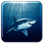 icon Shark Live Wallpaper para verykool Cyprus JR. s6004