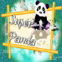 icon Super Run Panda