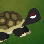 icon Grumpy Turtle para Highscreen Power Rage