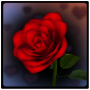 icon 3D Rose Bouquet Live Wallpaper 