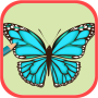 icon Adult Coloring For Butterfly