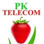 icon PK Telecom