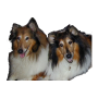 icon Dog Training para Samsung Galaxy Ace Duos S6802