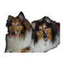 icon Dog Training para Micromax Selfie 2 Note Q4601
