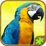 icon Animal Puzzles Games for Kids