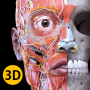 icon Anatomy 3D Atlas para Samsung Galaxy J2 Prime