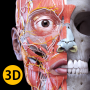 icon Anatomy 3D Atlas para LG U