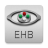 icon Eye Handbook 10.8.2